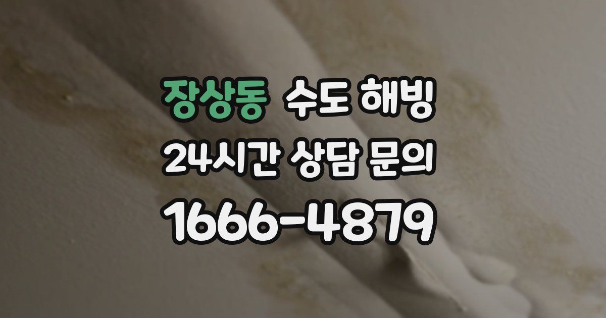 장상동 수도 해빙