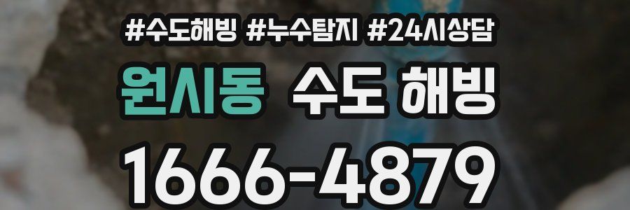 원시동 수도 해빙