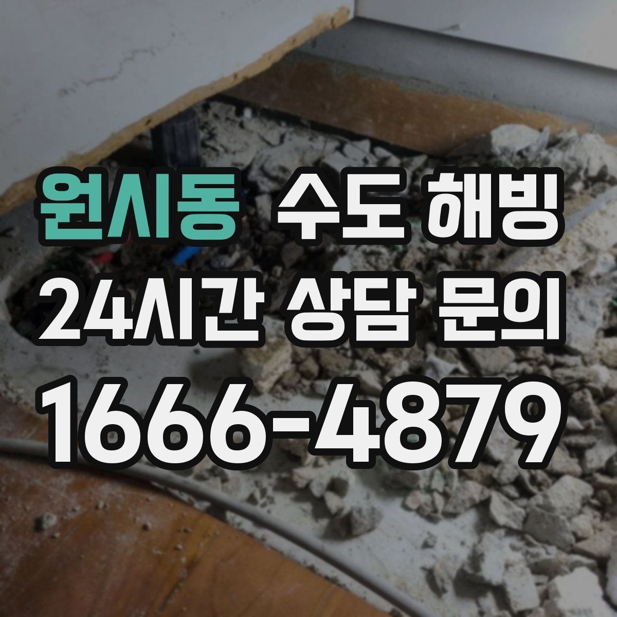 원시동 수도 해빙