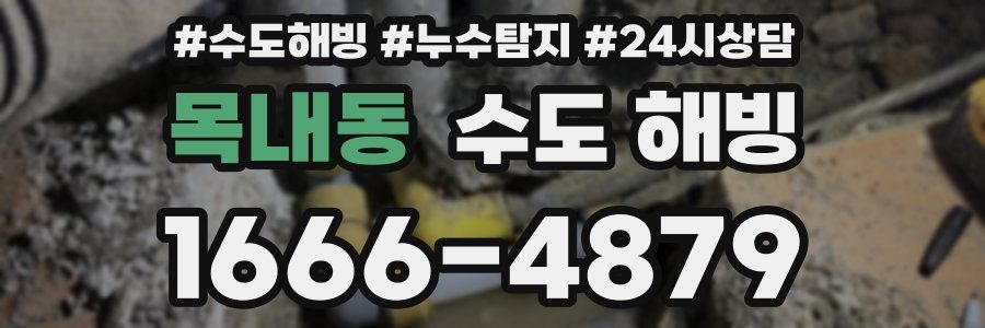 목내동 수도 해빙