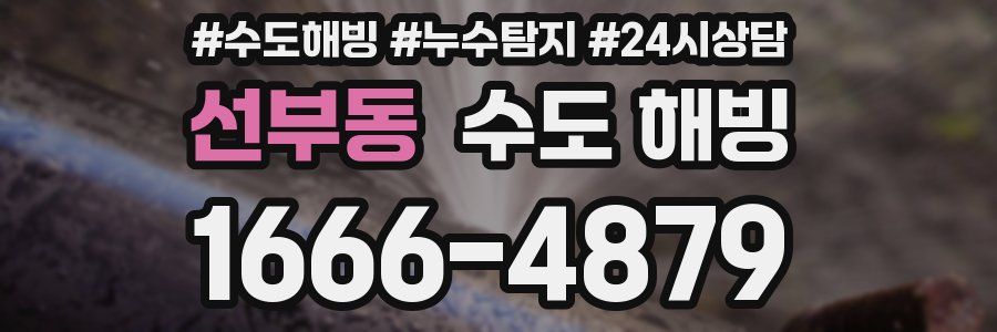 선부동 수도 해빙