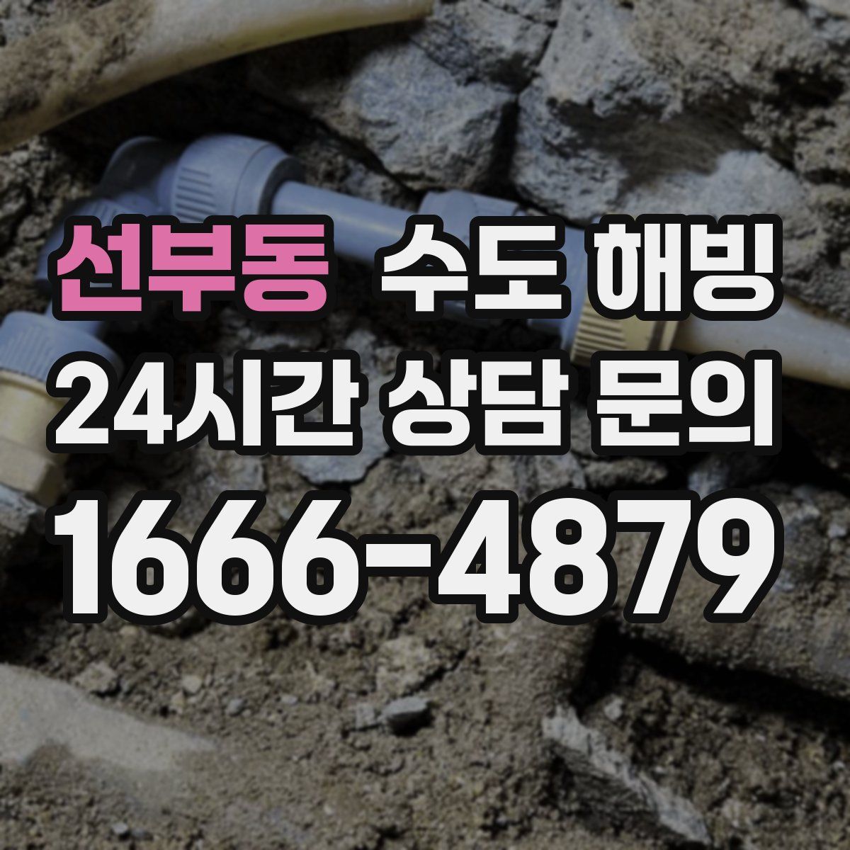 선부동 수도 해빙