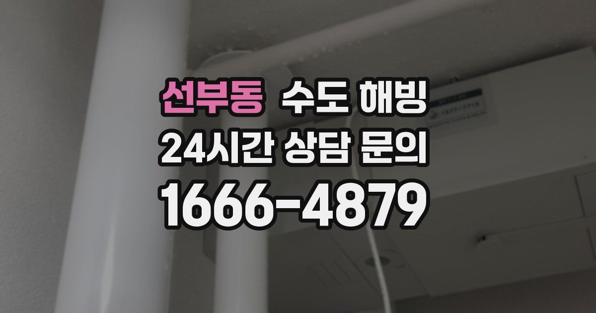 선부동 수도 해빙