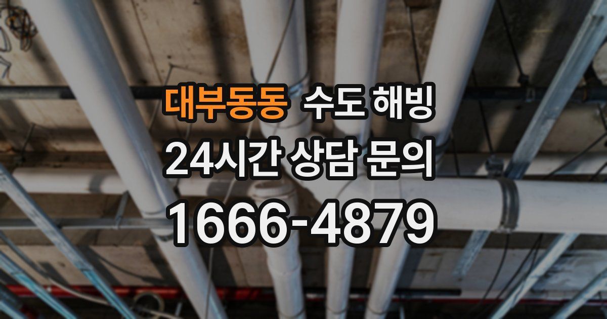 대부동동 수도 해빙