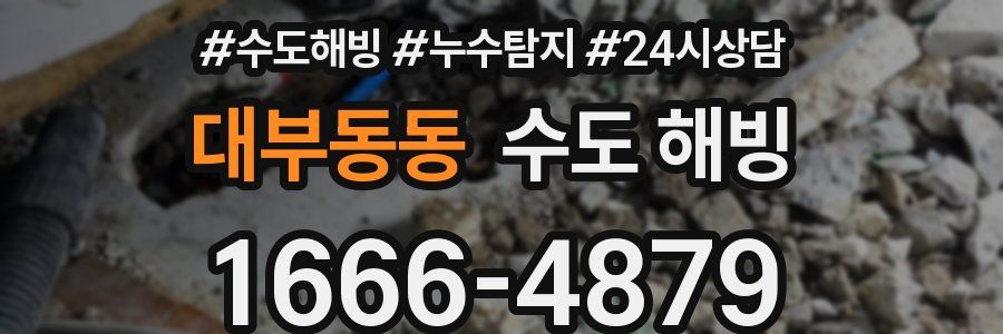 대부동동 수도 해빙