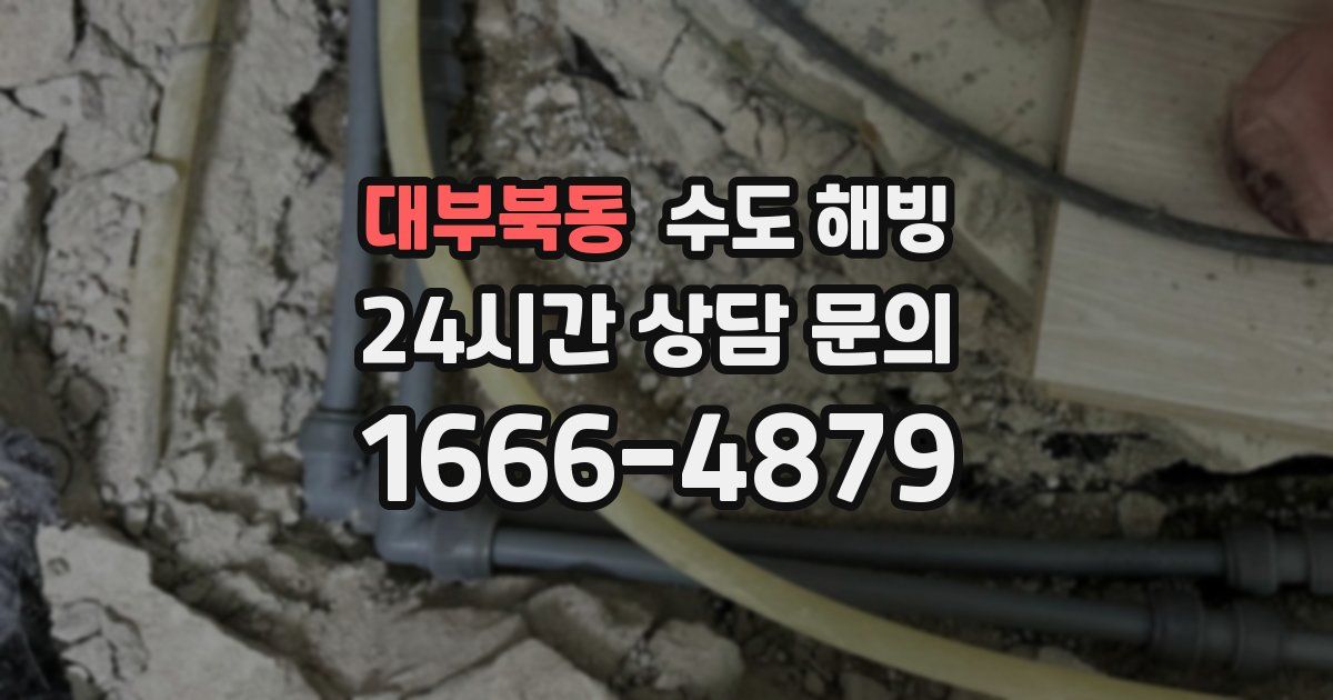 대부북동 수도 해빙