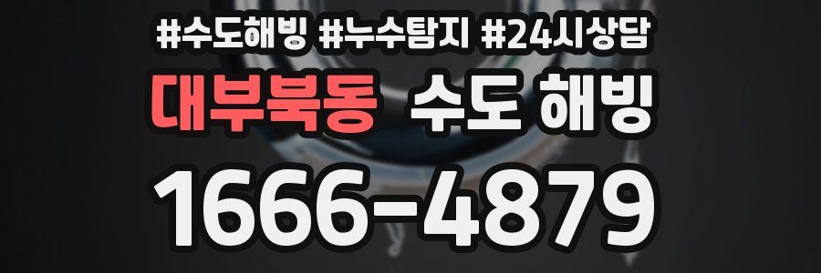 대부북동 수도 해빙