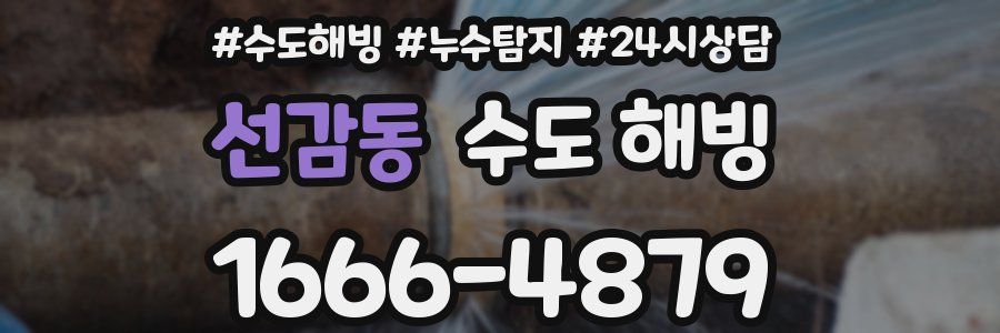 선감동 수도 해빙