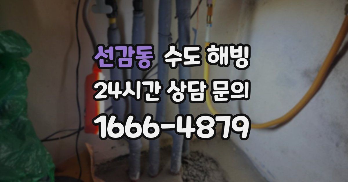 선감동 수도 해빙 겨울철 수도 문제, 빠르게 해결하는 방법