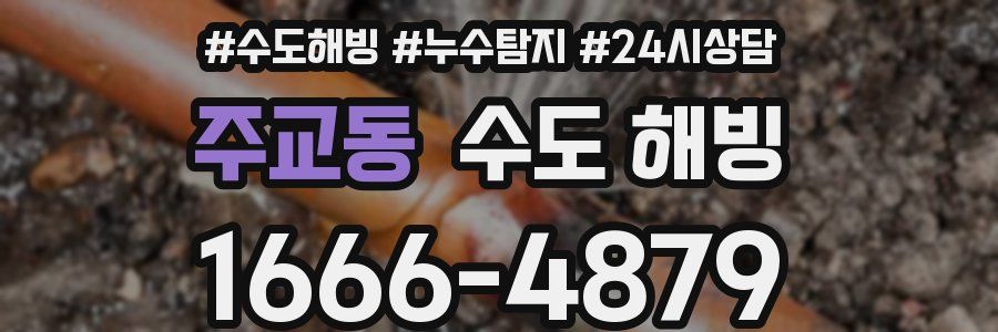 주교동 수도 해빙