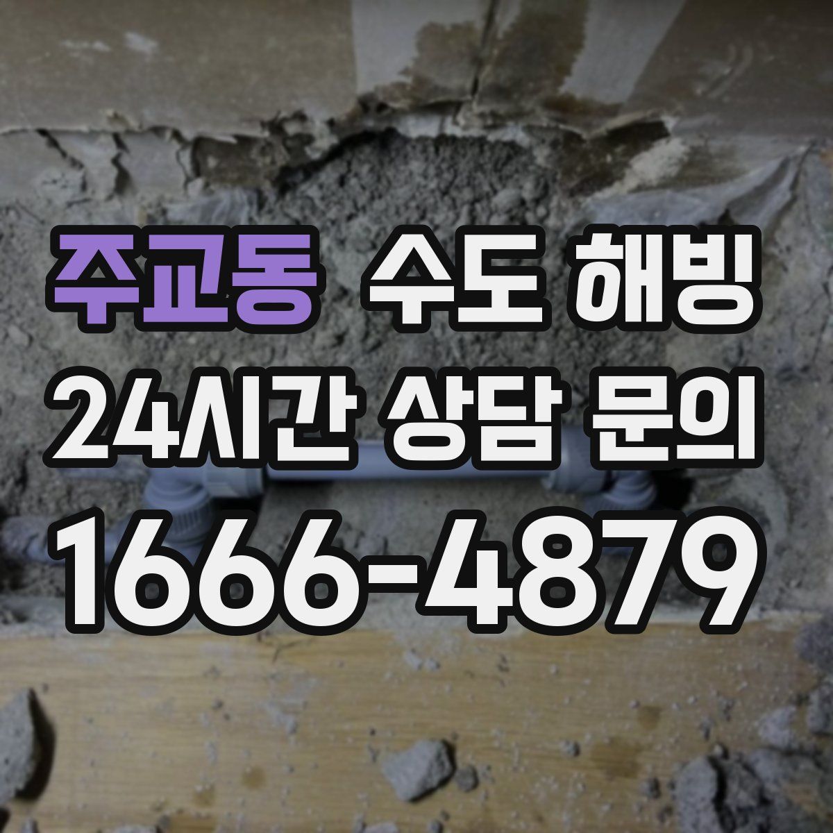 주교동 수도 해빙