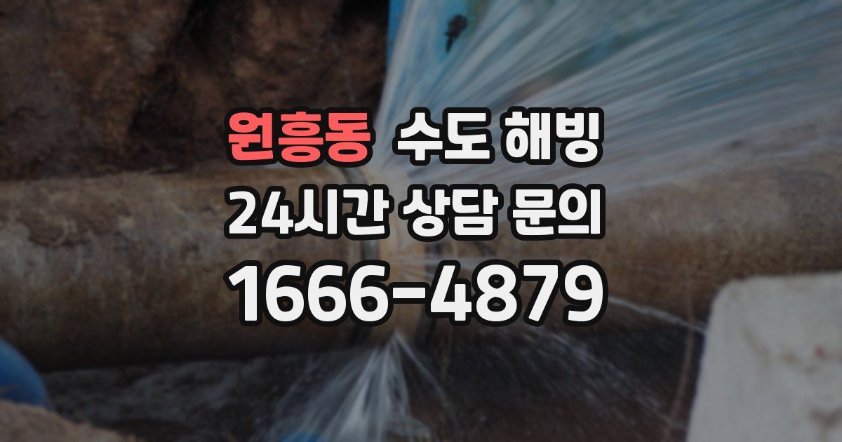 원흥동 수도 해빙