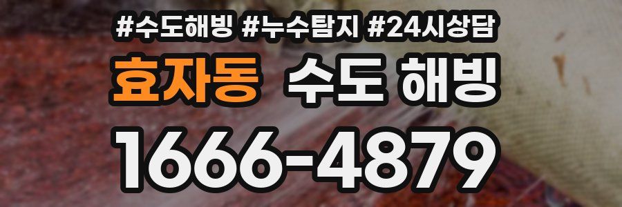 효자동 수도 해빙