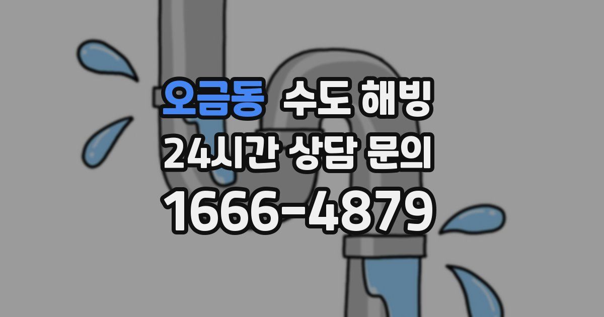 오금동 수도 해빙