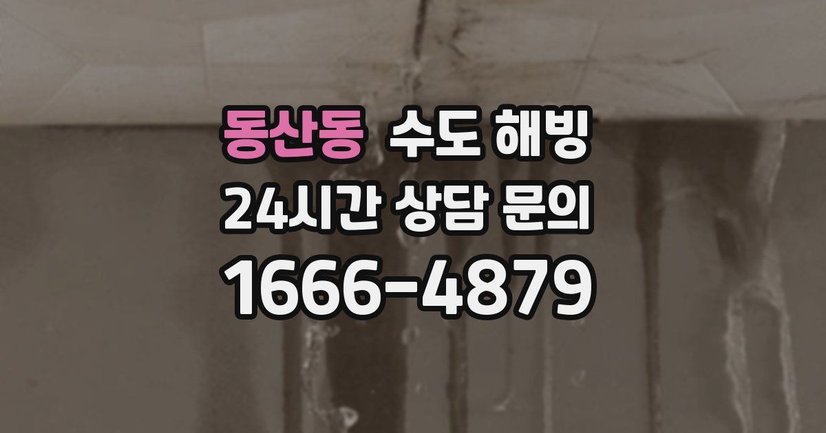 동산동 수도 해빙