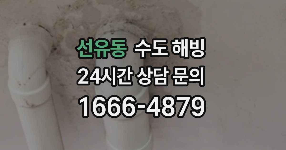 선유동 수도 해빙