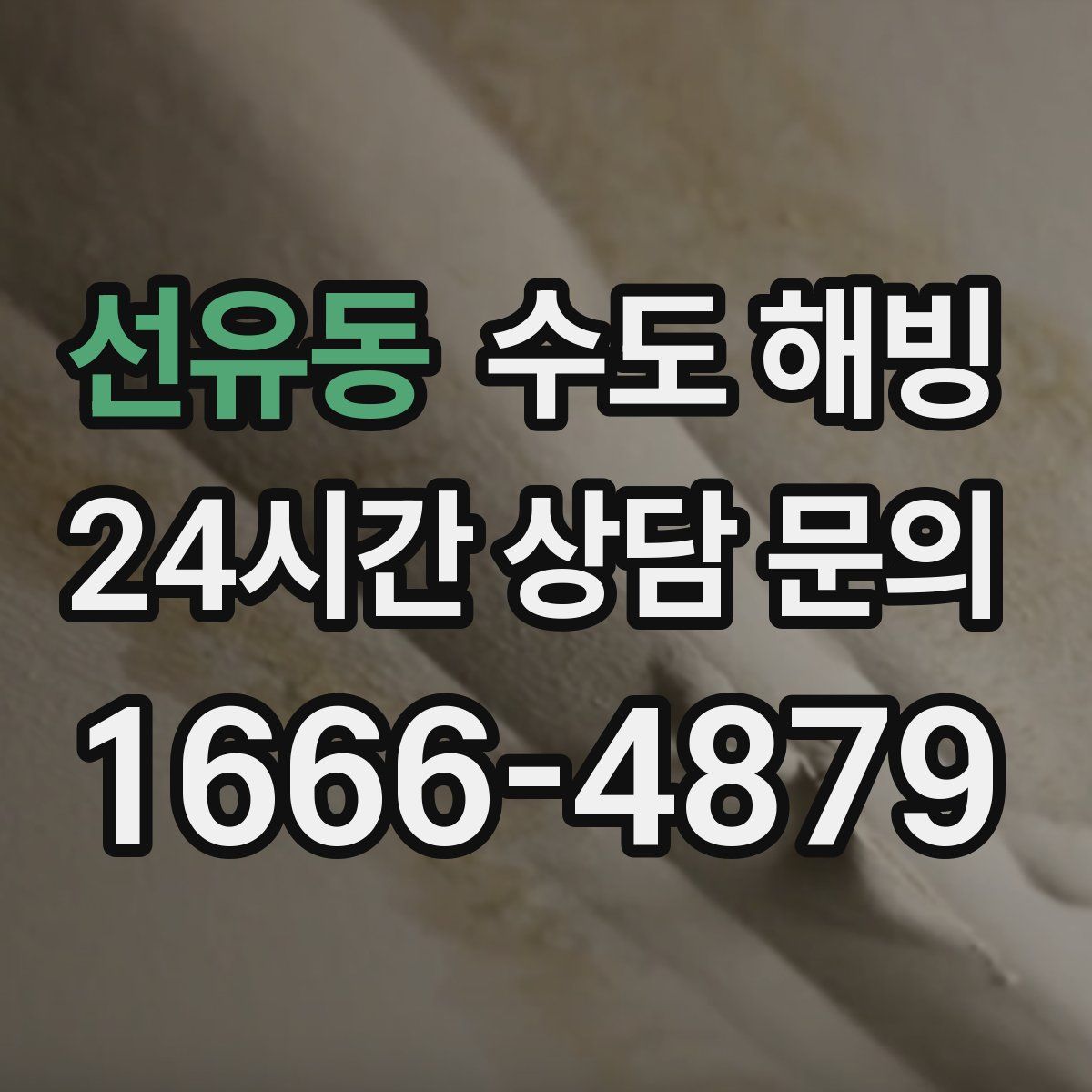 선유동 수도 해빙