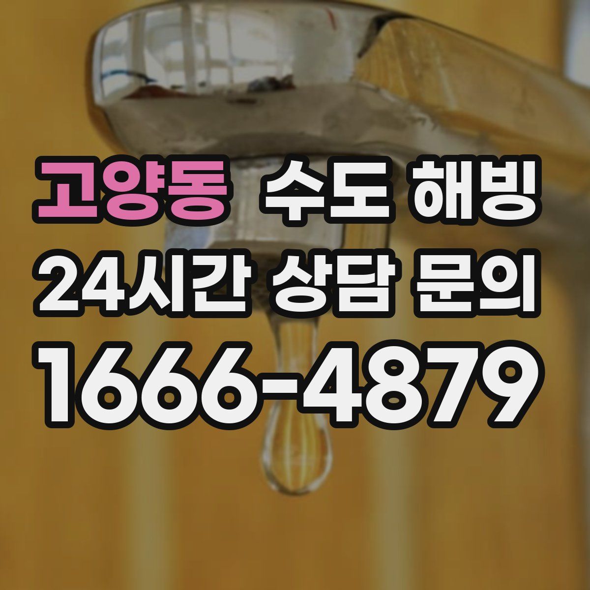 고양동 수도 해빙