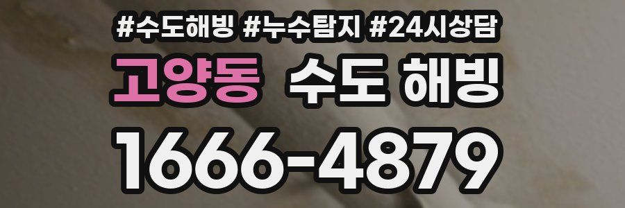 고양동 수도 해빙