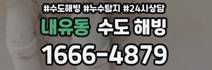 내유동 수도 해빙