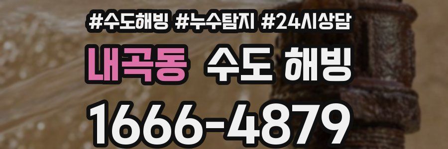 내곡동 수도 해빙