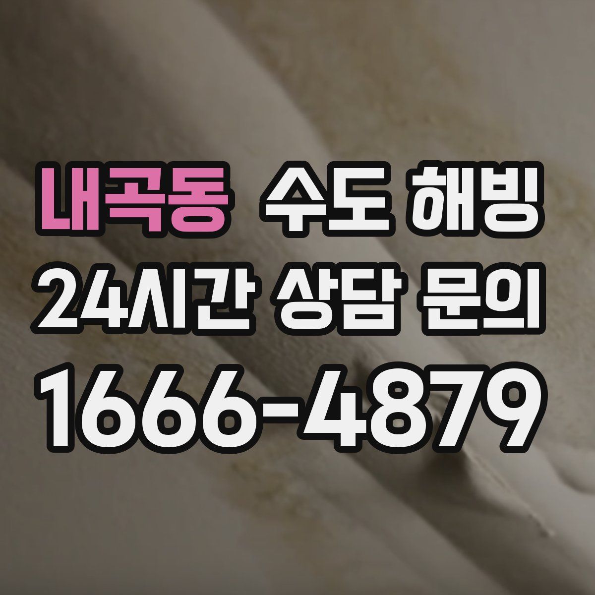 내곡동 수도 해빙