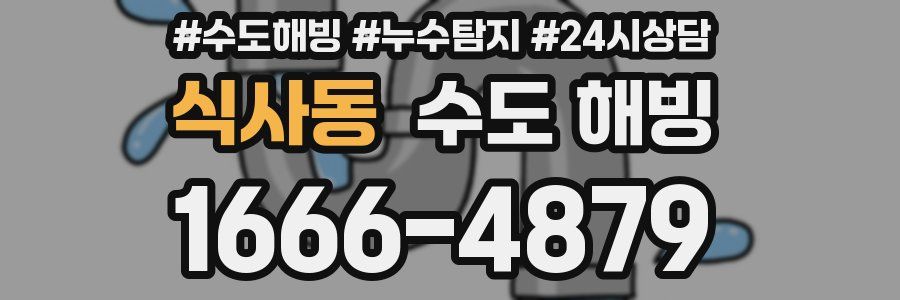 식사동 수도 해빙