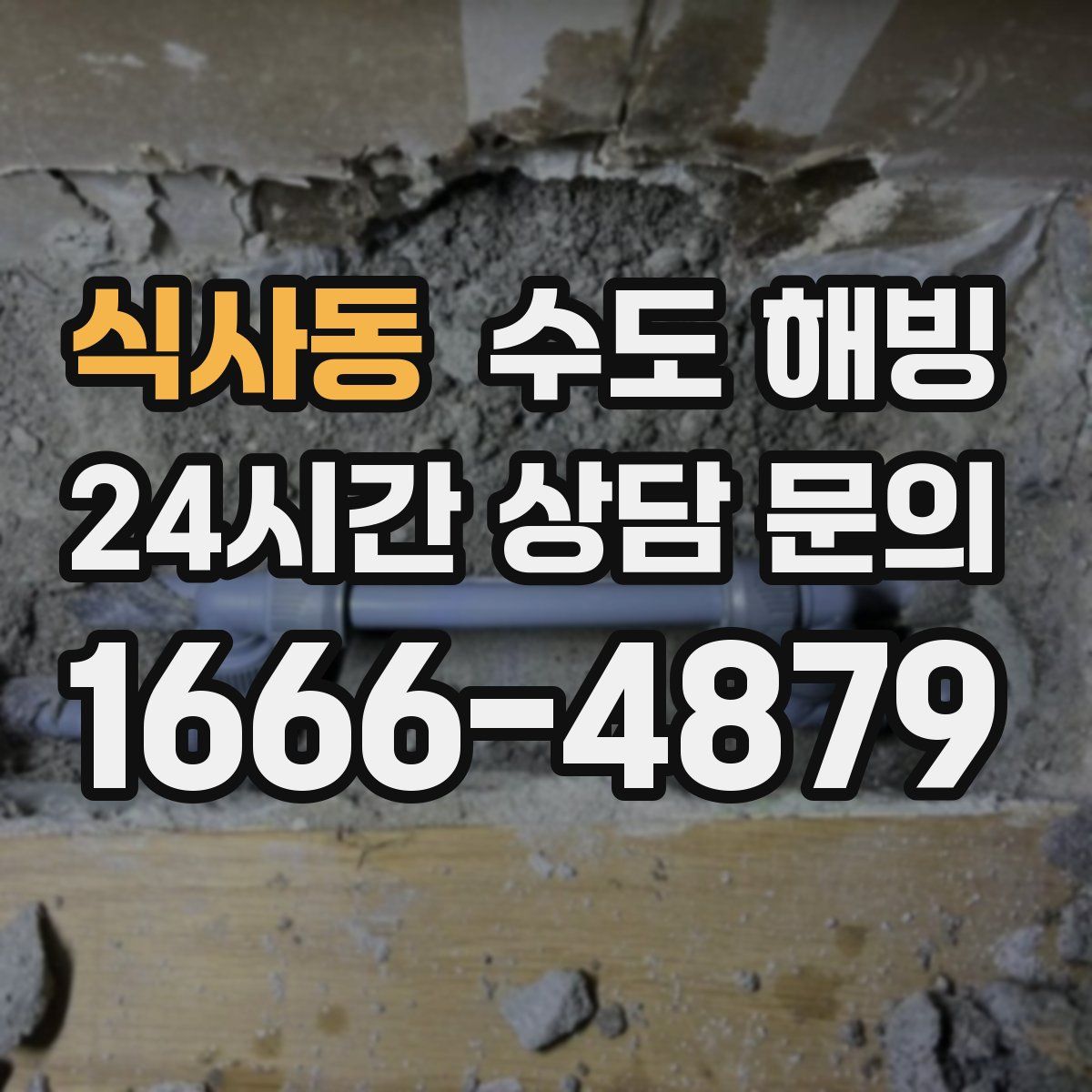 식사동 수도 해빙