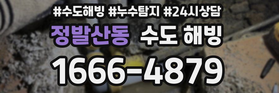 정발산동 수도 해빙