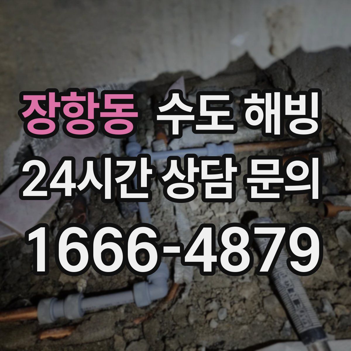 장항동 수도 해빙