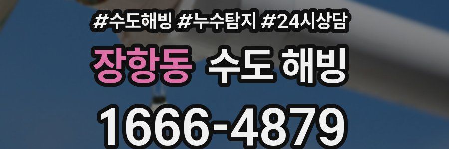 장항동 수도 해빙