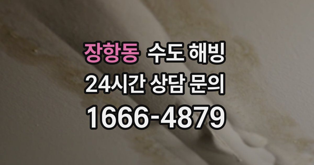 장항동 수도 해빙