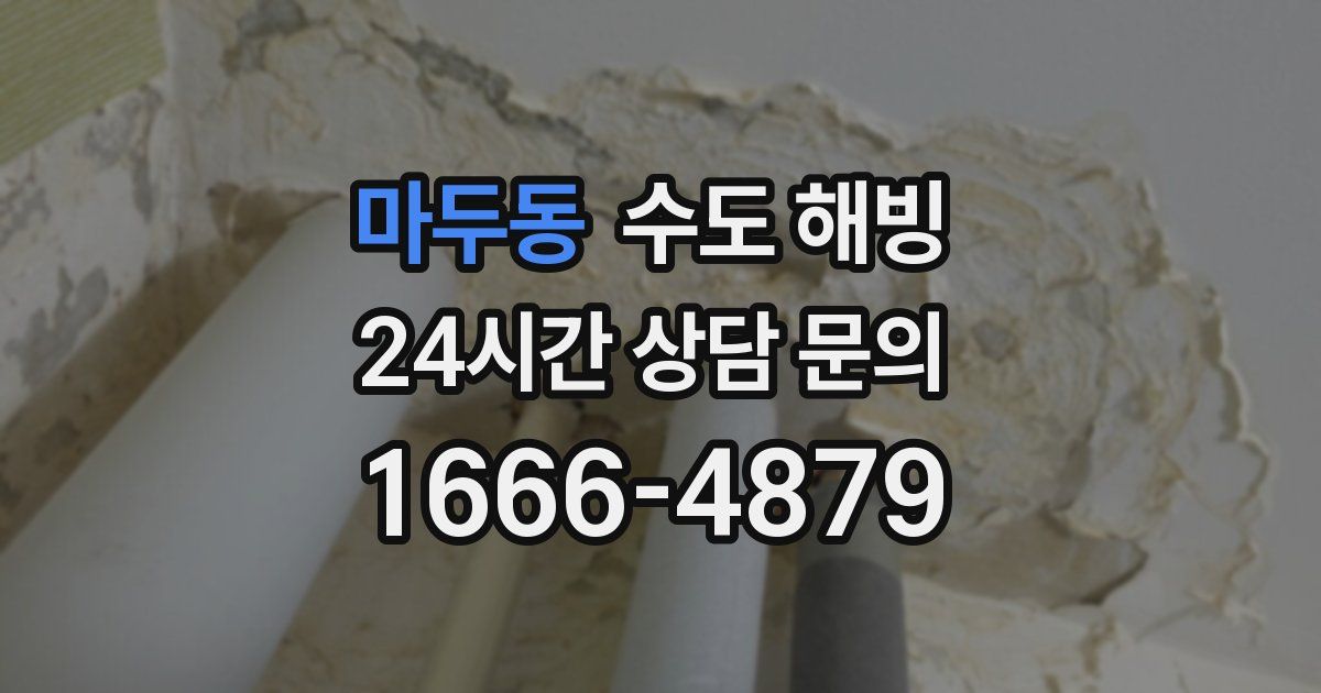 마두동 수도 해빙