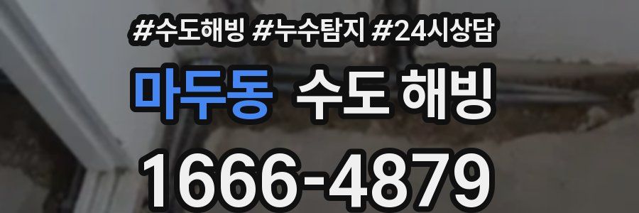 마두동 수도 해빙