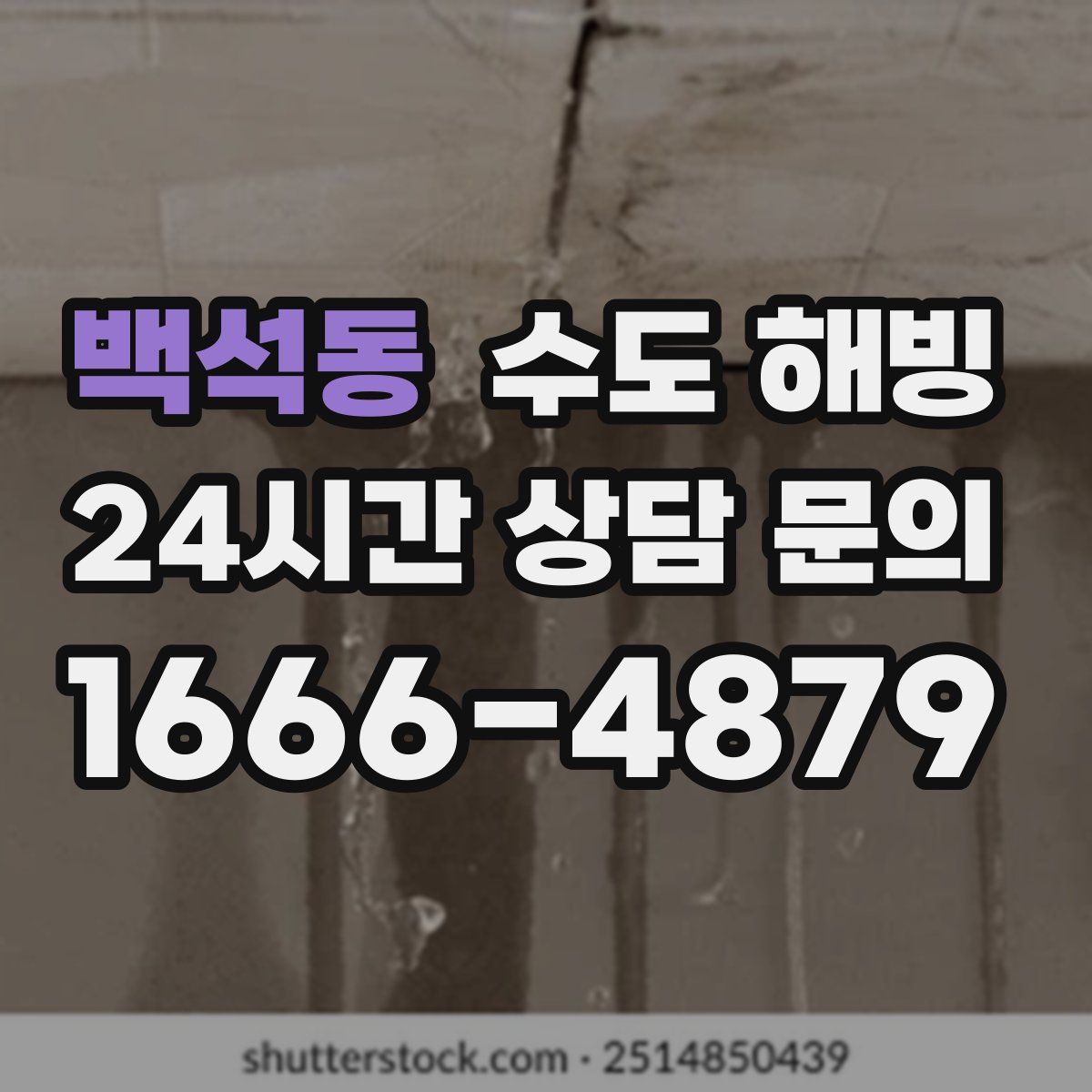 백석동 수도 해빙