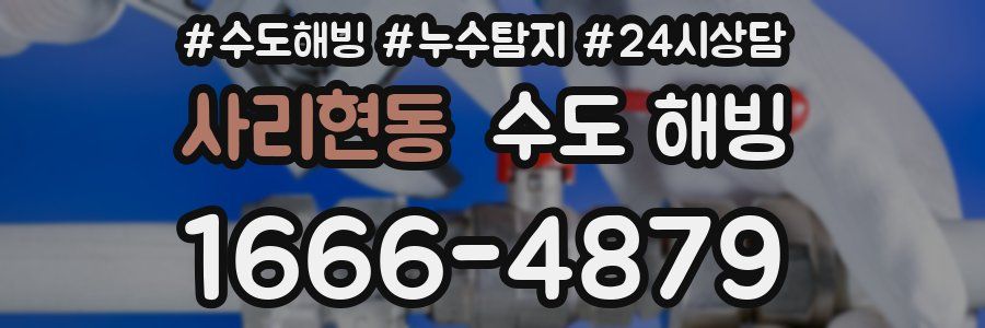 사리현동 수도 해빙