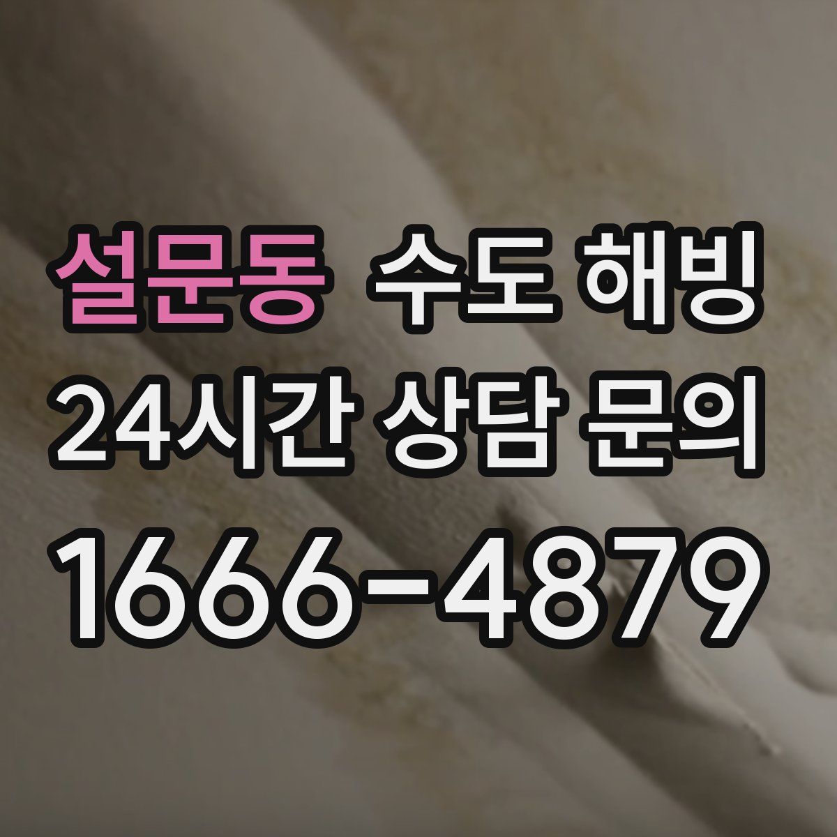 설문동 수도 해빙