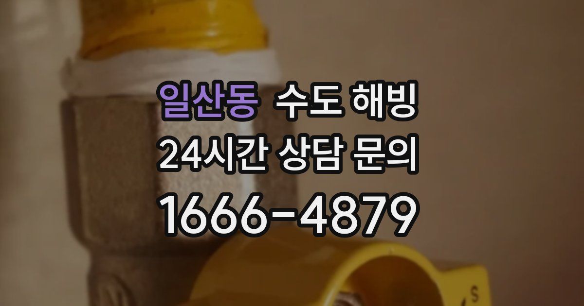 일산동 수도 해빙