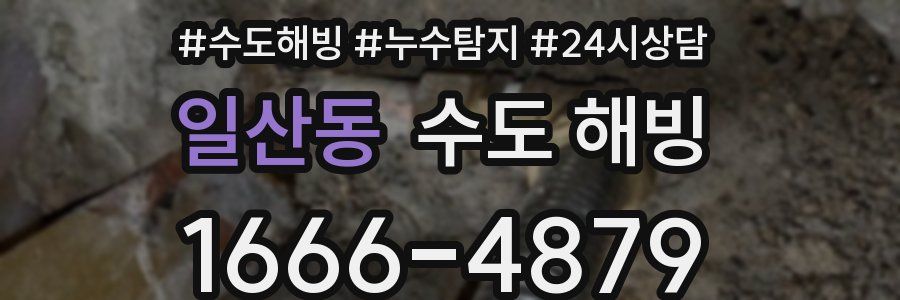 일산동 수도 해빙