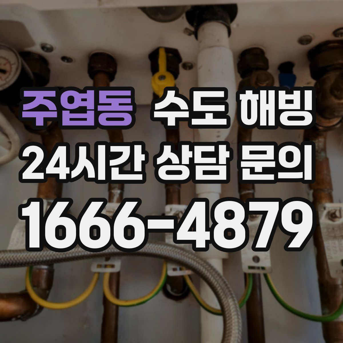 주엽동 수도 해빙