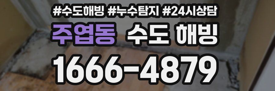 주엽동 수도 해빙