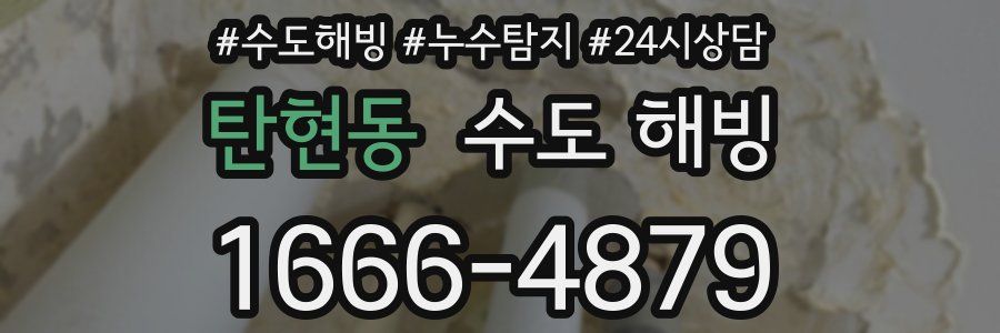 탄현동 수도 해빙