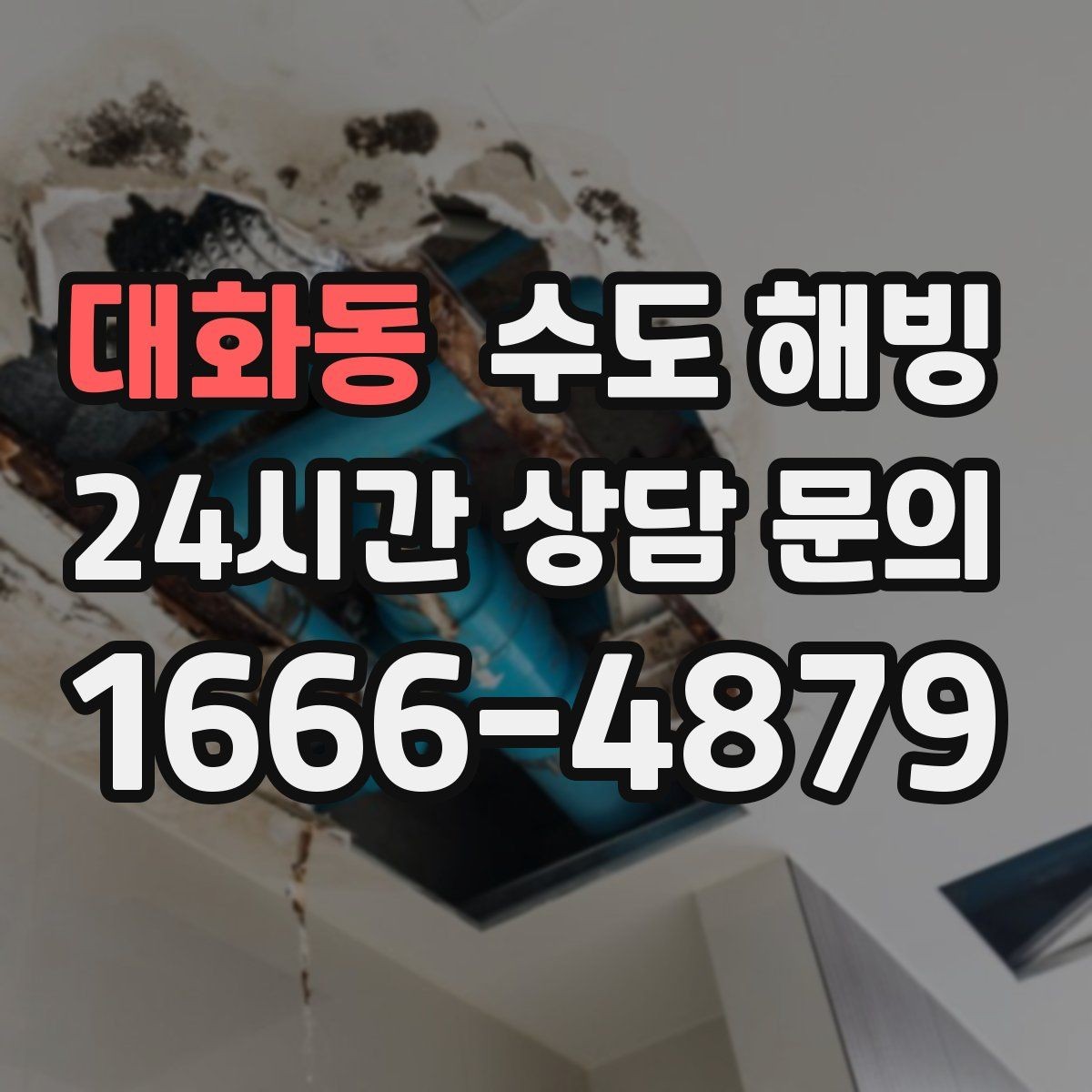 대화동 수도 해빙 욕실만 물이 안 나오고 주방은 정상이라면