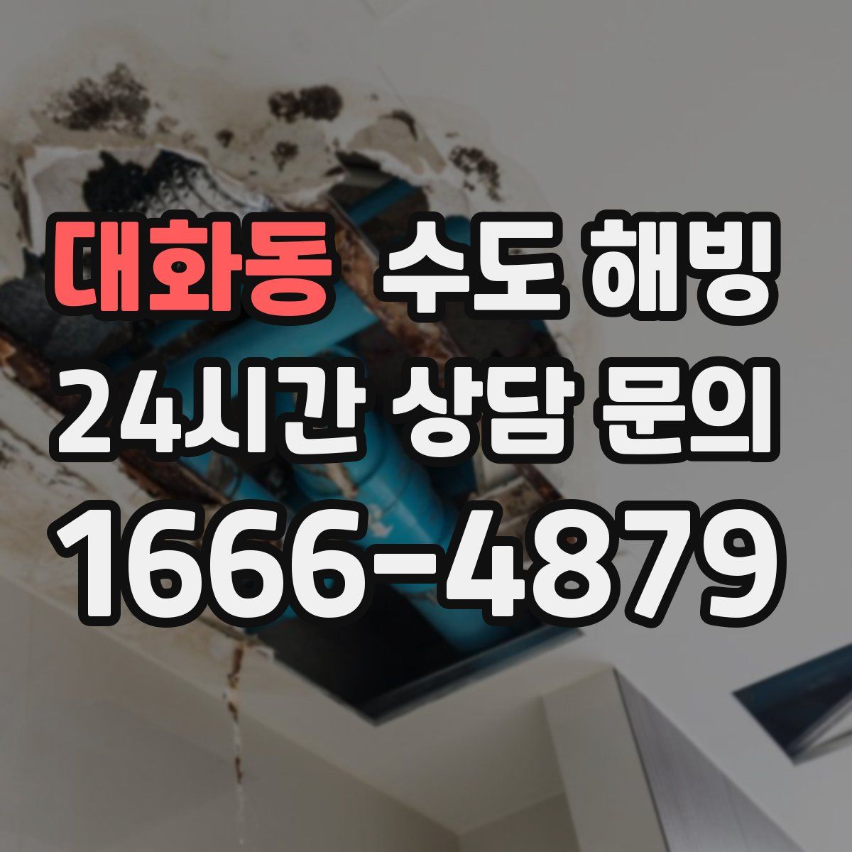 대화동 수도 해빙