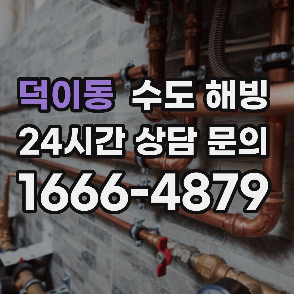 덕이동 수도 해빙