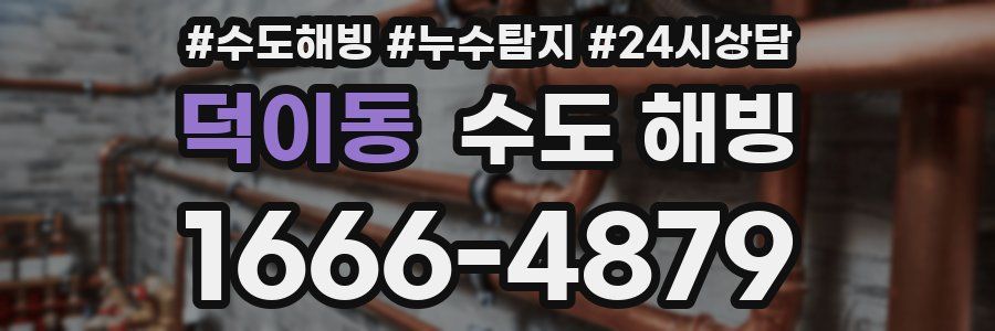 덕이동 수도 해빙