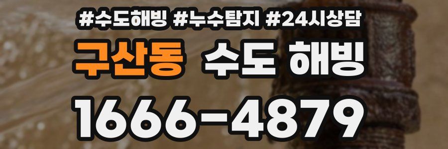 구산동 수도 해빙