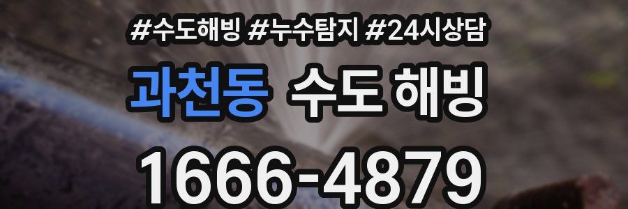 과천동 수도 해빙