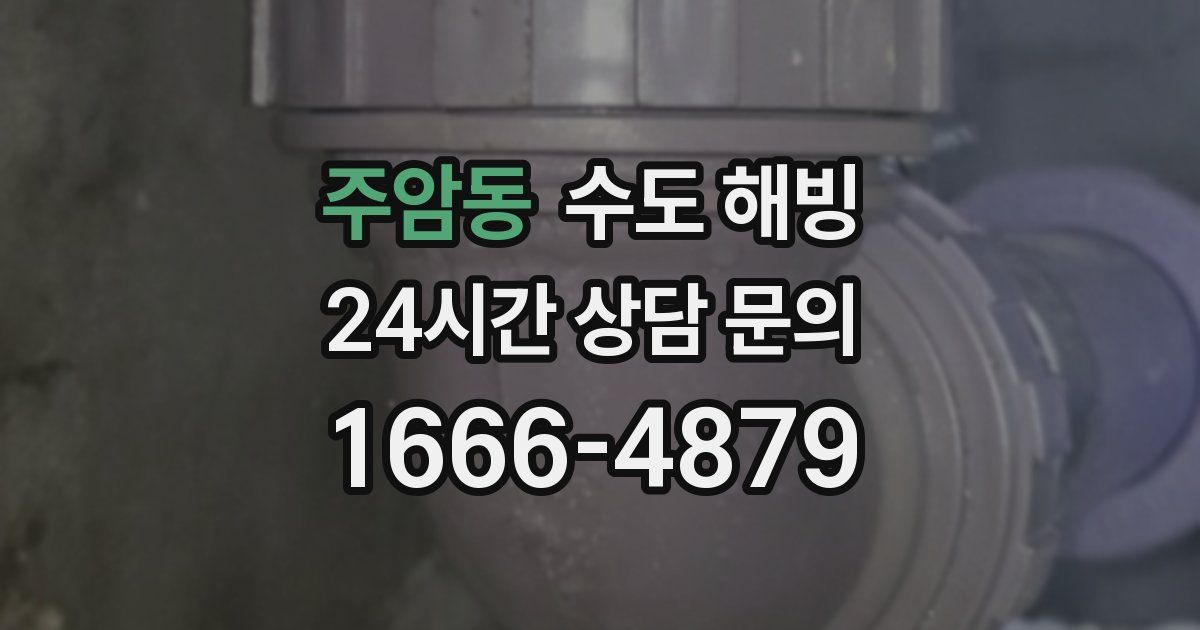 주암동 수도 해빙