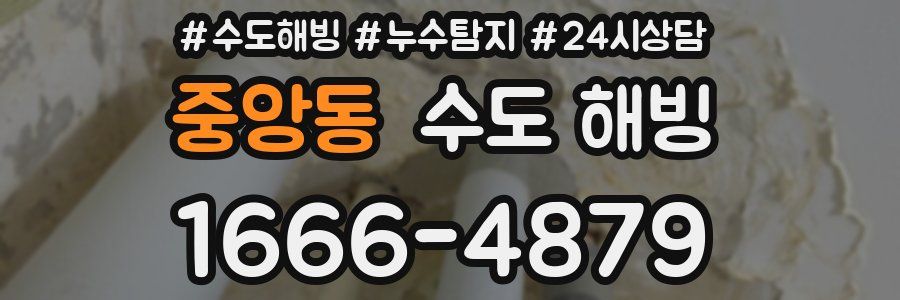 중앙동 수도 해빙